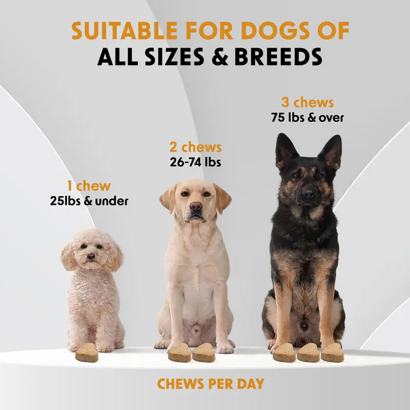 Dr Woow Dog Fur and Skin Care Soft Chews - High-Protein Salmon Flavor Treats with Biotin + Zinc & Vitamins, Supports Shiny Coat, Reduces Dryness, Boosts Healthy Skin