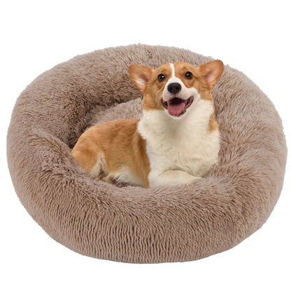 Sweetcrispy Large Orthopedic Memory Foam Dog Sofa Bed with 3-Sided Bolsters, Waterproof Detachable Cover, Non-Slip Base, and Enhanced Joint Relief - 20" L x 24" W x 8" H