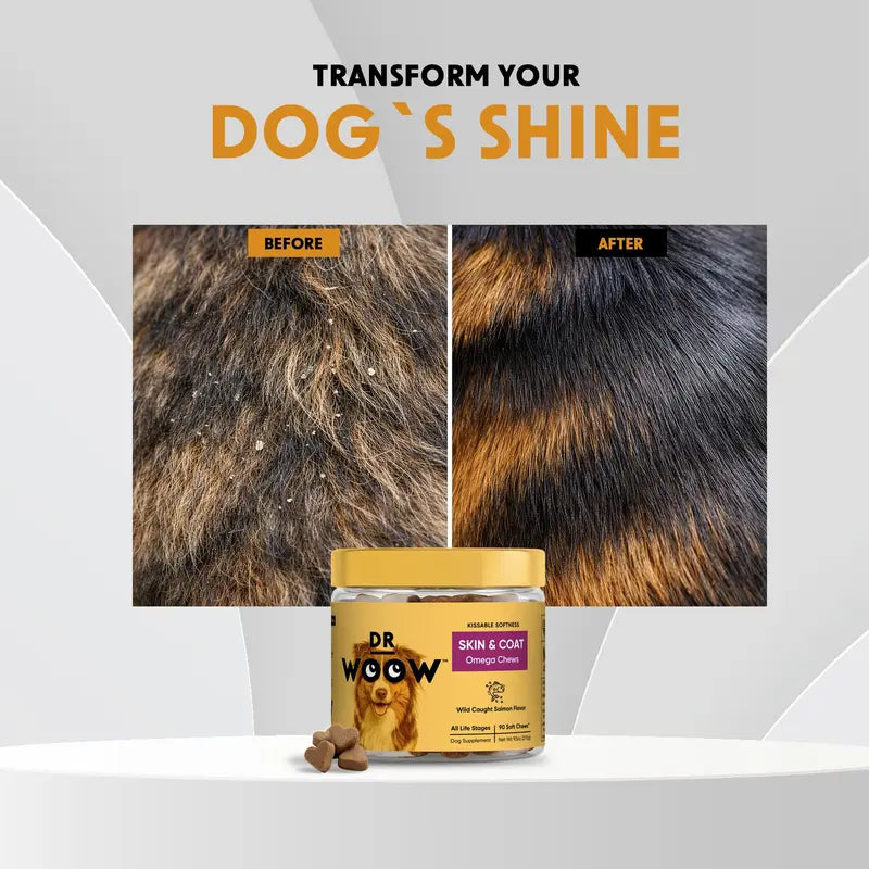 Dr Woow Dog Fur and Skin Care Soft Chews - High-Protein Salmon Flavor Treats with Biotin + Zinc & Vitamins, Supports Shiny Coat, Reduces Dryness, Boosts Healthy Skin