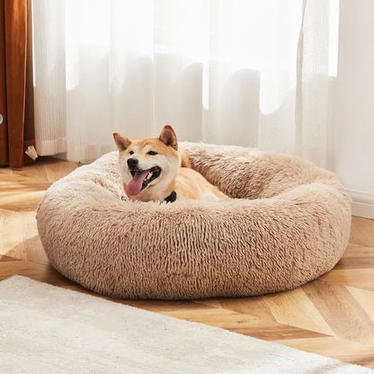 Sweetcrispy Large Orthopedic Memory Foam Dog Sofa Bed with 3-Sided Bolsters, Waterproof Detachable Cover, Non-Slip Base, and Enhanced Joint Relief - 20" L x 24" W x 8" H