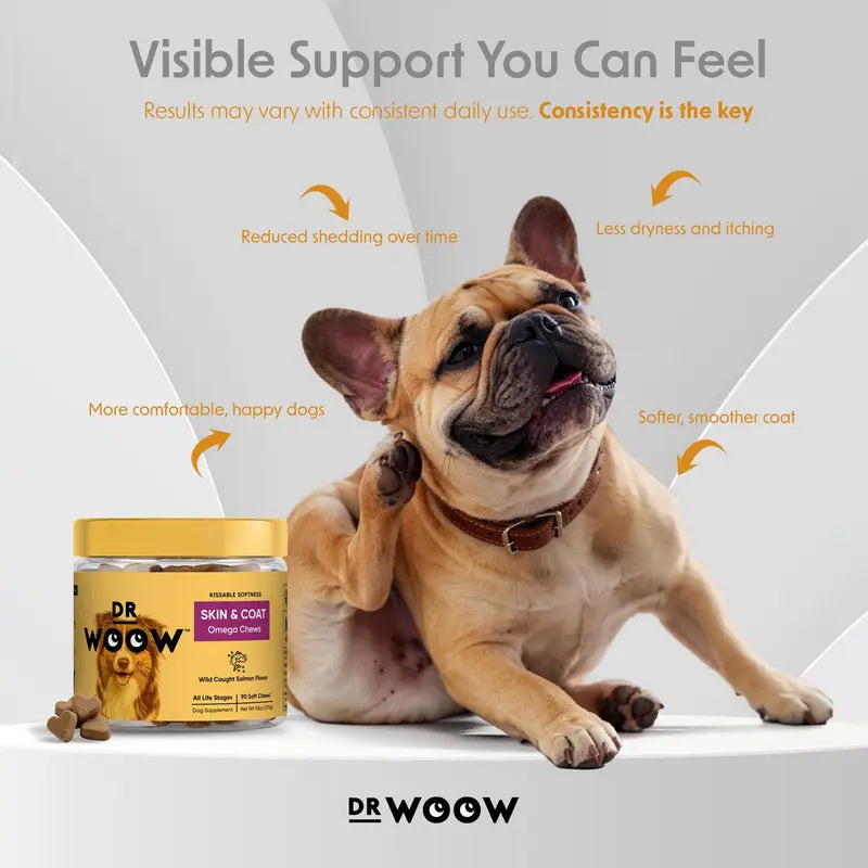 Dr Woow Dog Fur and Skin Care Soft Chews - High-Protein Salmon Flavor Treats with Biotin + Zinc & Vitamins, Supports Shiny Coat, Reduces Dryness, Boosts Healthy Skin